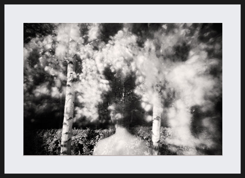 Garden Poland Collectors prints limited edition black and white collection