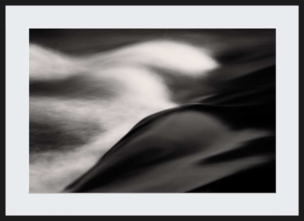 Dolphin Poland collectors prints limited edition black and white collection fine art