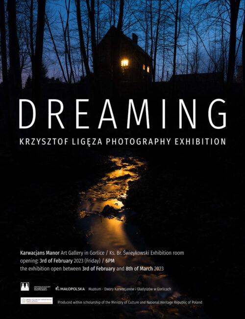 Dreaming exhibition poster